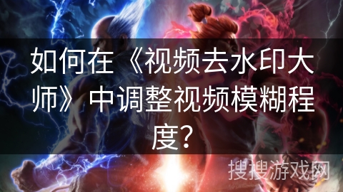 如何在《视频去水印大师》中调整视频模糊程度？