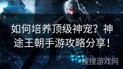 如何培养顶级神宠？神途王朝手游攻略分享！