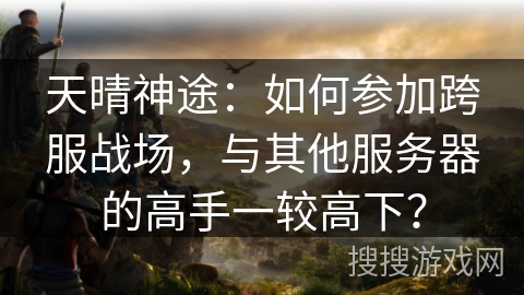 天晴神途：如何参加跨服战场，与其他服务器的高手一较高下？
