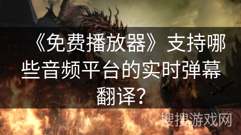 《免费播放器》支持哪些音频平台的实时弹幕翻译？