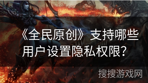 《全民原创》支持哪些用户设置隐私权限？