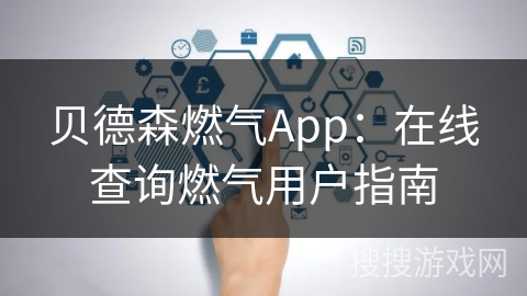 贝德森燃气App：在线查询燃气用户指南
