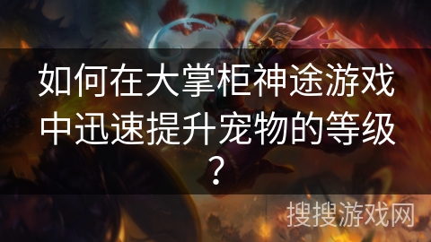 如何在大掌柜神途游戏中迅速提升宠物的等级？