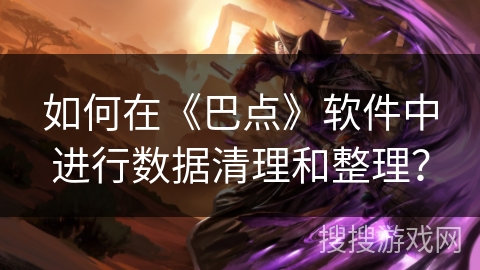 如何在《巴点》软件中进行数据清理和整理？