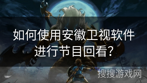 如何使用安徽卫视软件进行节目回看？