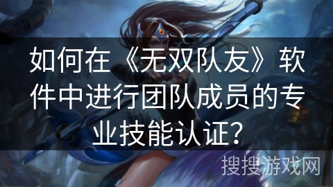 如何在《无双队友》软件中进行团队成员的专业技能认证？