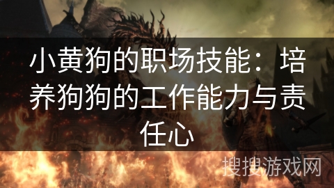 小黄狗的职场技能：培养狗狗的工作能力与责任心