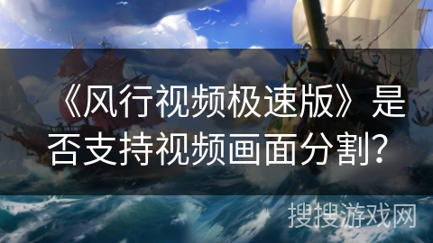 《风行视频极速版》是否支持视频画面分割？