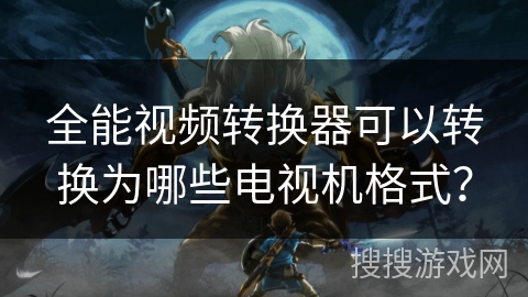 全能视频转换器可以转换为哪些电视机格式？