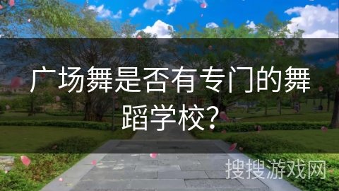 广场舞是否有专门的舞蹈学校?