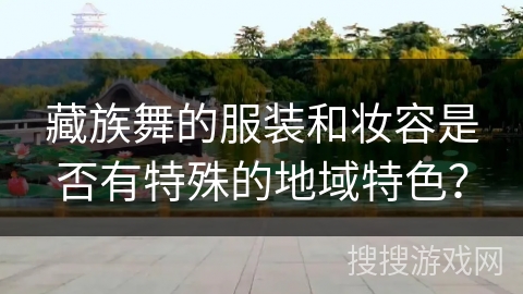 藏族舞的服装和妆容是否有特殊的地域特色？