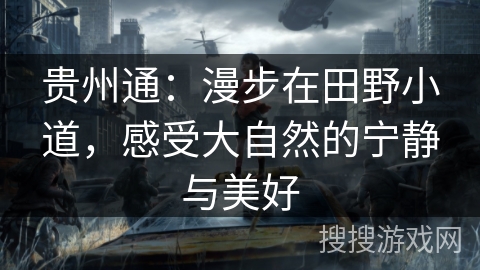 贵州通：漫步在田野小道，感受大自然的宁静与美好