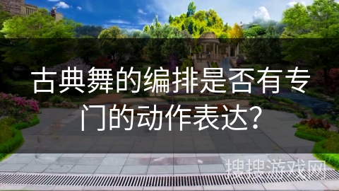 古典舞的编排是否有专门的动作表达？