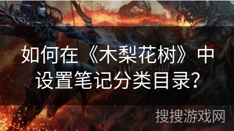 如何在《木梨花树》中设置笔记分类目录？