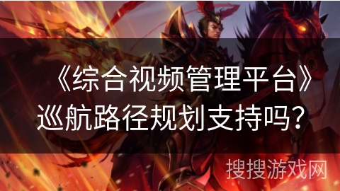 《综合视频管理平台》巡航路径规划支持吗？