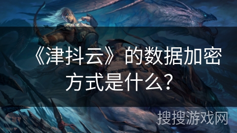 《津抖云》的数据加密方式是什么？
