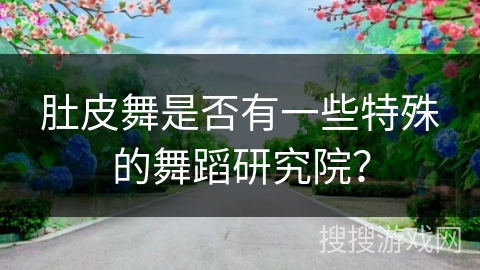 肚皮舞是否有一些特殊的舞蹈研究院？