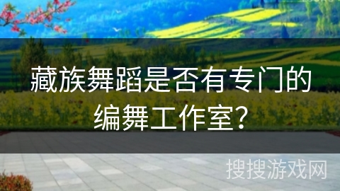 藏族舞蹈是否有专门的编舞工作室？