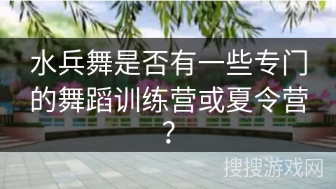 水兵舞是否有一些专门的舞蹈训练营或夏令营？