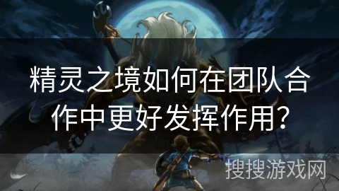 精灵之境如何在团队合作中更好发挥作用？