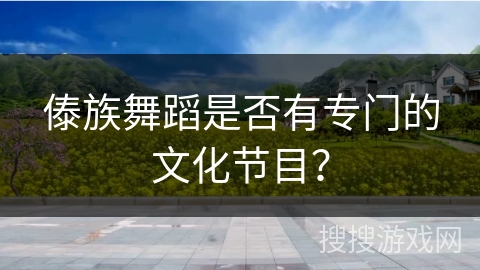 傣族舞蹈是否有专门的文化节目？
