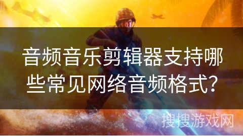 音频音乐剪辑器支持哪些常见网络音频格式？