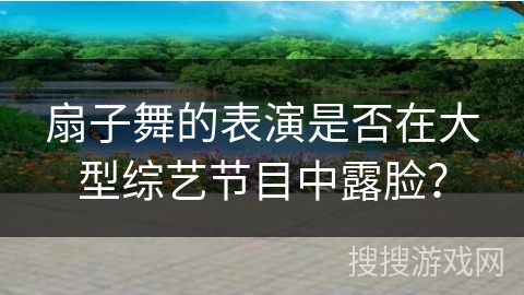 扇子舞的表演是否在大型综艺节目中露脸？