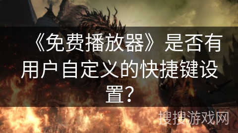 《免费播放器》是否有用户自定义的快捷键设置？
