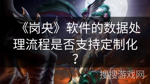 《岗央》软件的数据处理流程是否支持定制化？