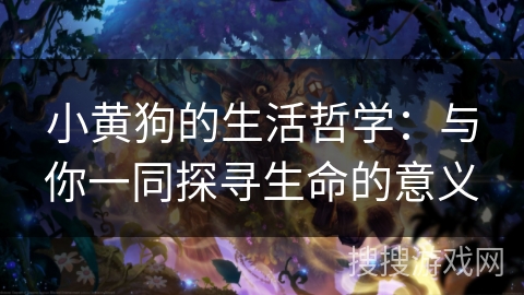 小黄狗的生活哲学：与你一同探寻生命的意义