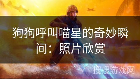 狗狗呼叫喵星的奇妙瞬间:照片欣赏 狗狗呼叫喵星的奇妙瞬间:照片欣赏