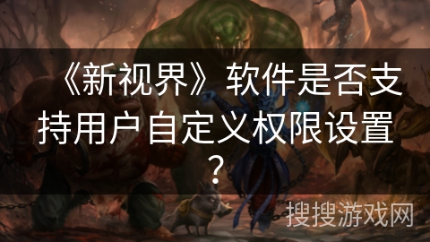 《新视界》软件是否支持用户自定义权限设置？