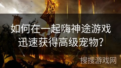 如何在一起嗨神途游戏迅速获得高级宠物？