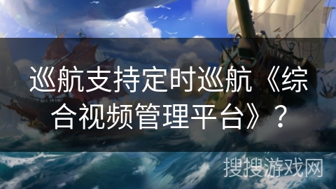 巡航支持定时巡航《综合视频管理平台》？