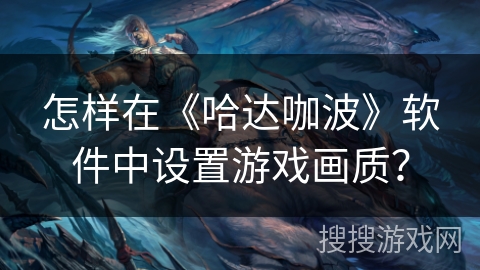 怎样在《哈达咖波》软件中设置游戏画质？