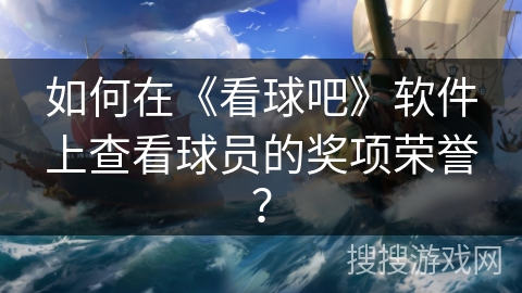 如何在《看球吧》软件上查看球员的奖项荣誉？