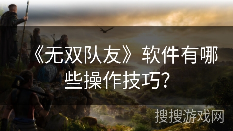 《无双队友》软件有哪些操作技巧？