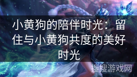 小黄狗的陪伴时光：留住与小黄狗共度的美好时光