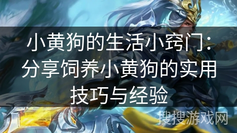 小黄狗的生活小窍门:分享饲养小黄狗的实用技巧与经验 小黄狗的生活小窍门:分享饲养小黄狗的实用技巧与经验