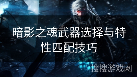 暗影之魂武器选择与特性匹配技巧 暗影之魂武器选择与特性匹配技巧