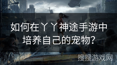 如何在丫丫神途手游中培养自己的宠物? 如何在丫丫神途手游中培养自己的宠物?