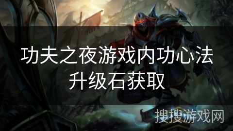 功夫之夜游戏内功心法升级石获取