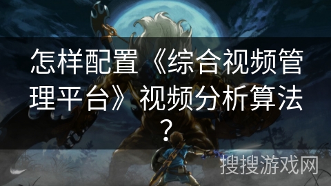 怎样配置《综合视频管理平台》视频分析算法？