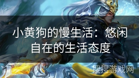 小黄狗的慢生活：悠闲自在的生活态度