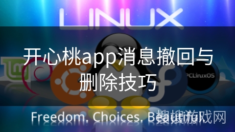 开心桃app消息撤回与删除技巧 开心桃app消息撤回与删除技巧