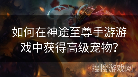 如何在神途至尊手游游戏中获得高级宠物？