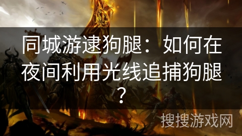 同城游逮狗腿:如何在夜间利用光线追捕狗腿? 同城游逮狗腿:如何在夜间利用光线追捕狗腿?