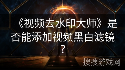 《视频去水印大师》是否能添加视频黑白滤镜？