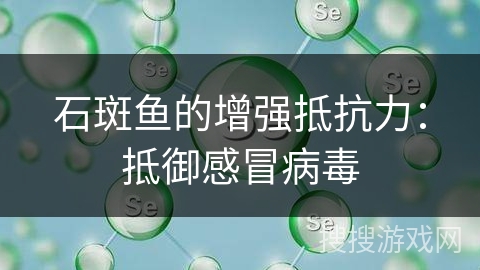石斑鱼的增强抵抗力：抵御感冒病毒