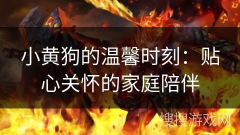 小黄狗的温馨时刻：贴心关怀的家庭陪伴